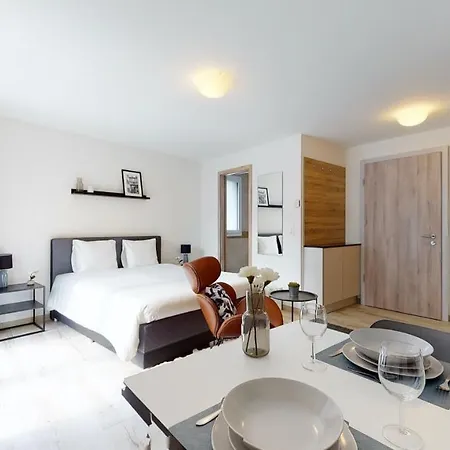 Furnished Studio #201 - Swiss * אייגל